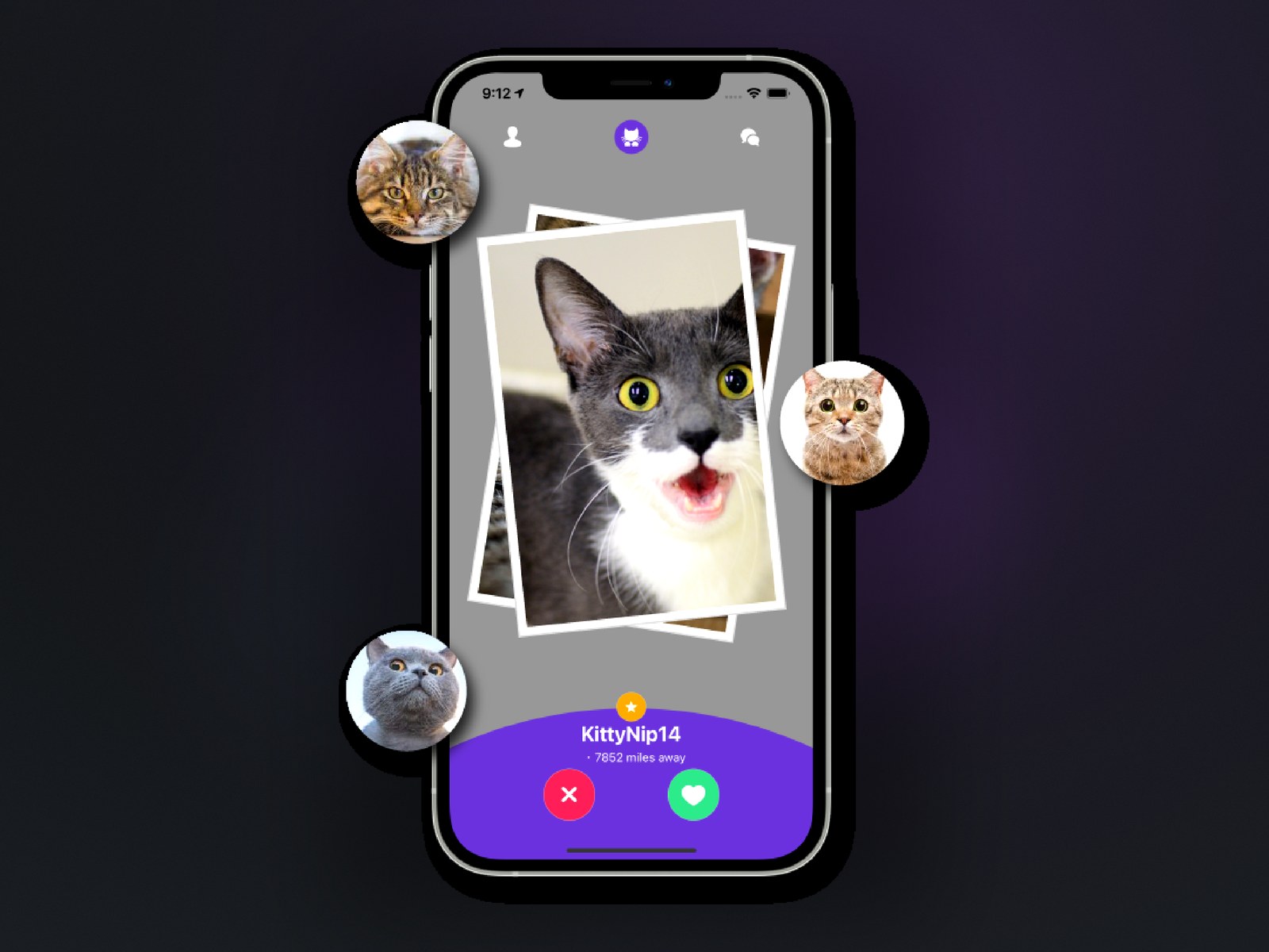 Kitty Nip preview